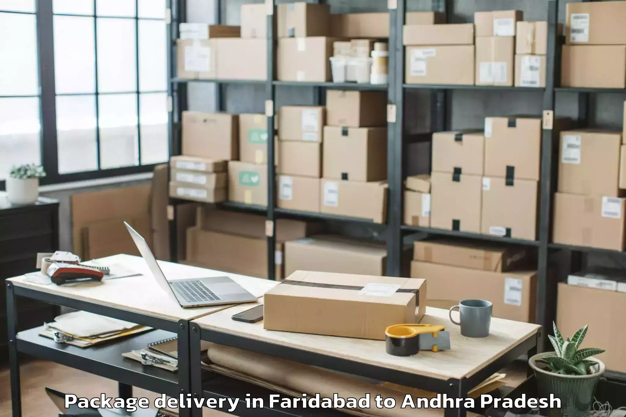 Book Faridabad to Butchayyapeta Package Delivery